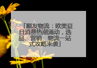 顺友物流：欧美夏日消费热潮涌动，选品、营销、物流一站式攻略来袭