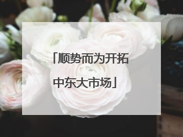 顺势而为开拓中东大市场