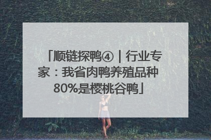 顺链探鸭④｜行业专家：我省肉鸭养殖品种80%是樱桃谷鸭
