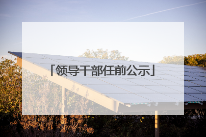 领导干部任前公示