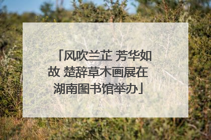 风吹兰芷 芳华如故 楚辞草木画展在湖南图书馆举办