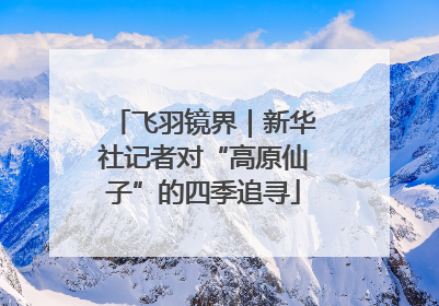 飞羽镜界｜新华社记者对“高原仙子”的四季追寻