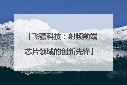 飞骧科技：射频前端芯片领域的创新先锋