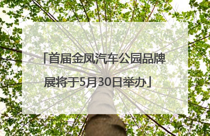 首届金凤汽车公园品牌展将于5月30日举办