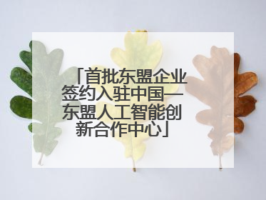 首批东盟企业签约入驻中国—东盟人工智能创新合作中心