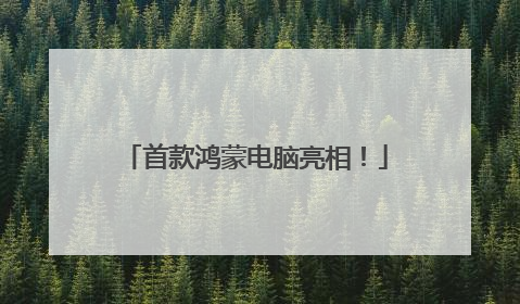 首款鸿蒙电脑亮相！