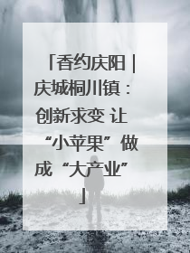 香约庆阳｜庆城桐川镇：创新求变 让“小苹果”做成“大产业”