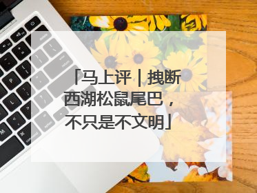 马上评｜拽断西湖松鼠尾巴，不只是不文明