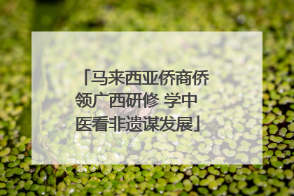 马来西亚侨商侨领广西研修 学中医看非遗谋发展