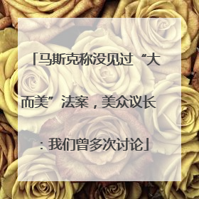马斯克称没见过“大而美”法案，美众议长：我们曾多次讨论