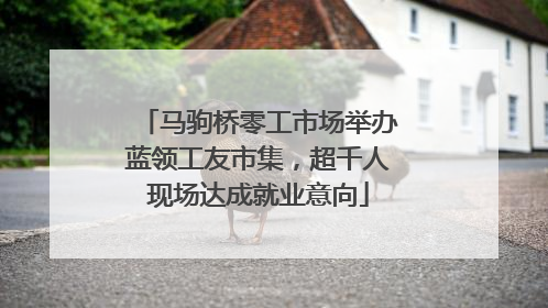 马驹桥零工市场举办蓝领工友市集，超千人现场达成就业意向