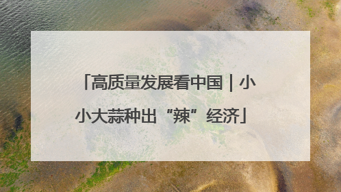 高质量发展看中国｜小小大蒜种出“辣”经济