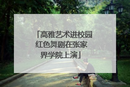 高雅艺术进校园 红色舞剧在张家界学院上演