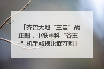 齐鲁大地“三夏”战正酣，中联重科“谷王”机手减损比武夺魁