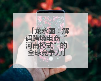 龙永图：解码跨境电商“河南模式”的全球竞争力