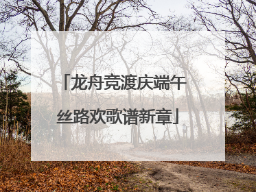 龙舟竞渡庆端午 丝路欢歌谱新章