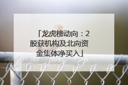 龙虎榜动向：2股获机构及北向资金集体净买入