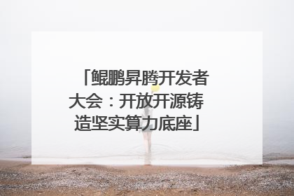鲲鹏昇腾开发者大会：开放开源铸造坚实算力底座