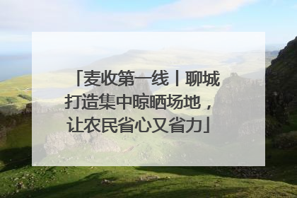 麦收第一线丨聊城打造集中晾晒场地，让农民省心又省力