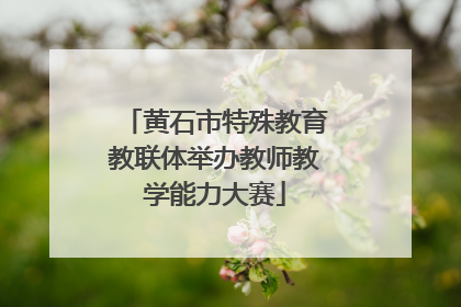 黄石市特殊教育教联体举办教师教学能力大赛