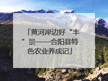 黄河岸边好“丰”景——合阳县特色农业养成记