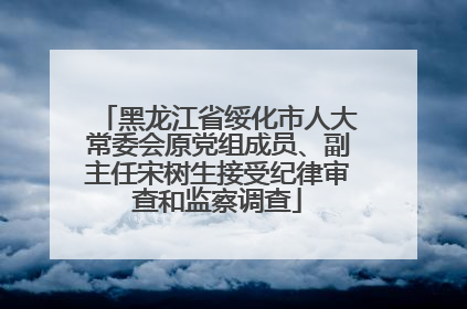 黑龙江省绥化市人大常委会原党组成员、副主任宋树生接受纪律审查和监察调查