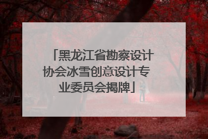 黑龙江省勘察设计协会冰雪创意设计专业委员会揭牌