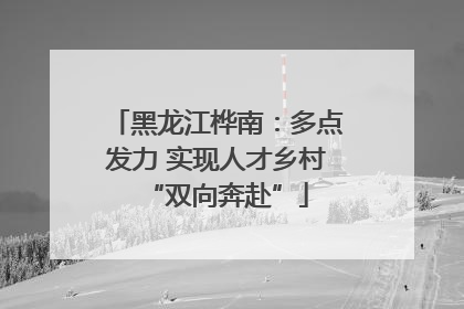 黑龙江桦南：多点发力 实现人才乡村“双向奔赴”