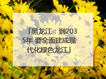 黑龙江：到2035年 要全面建成现代化绿色龙江