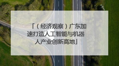 （经济观察）广东加速打造人工智能与机器人产业创新高地