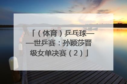 （体育）乒乓球——世乒赛：孙颖莎晋级女单决赛（2）