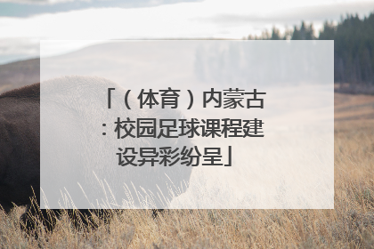 （体育）内蒙古：校园足球课程建设异彩纷呈