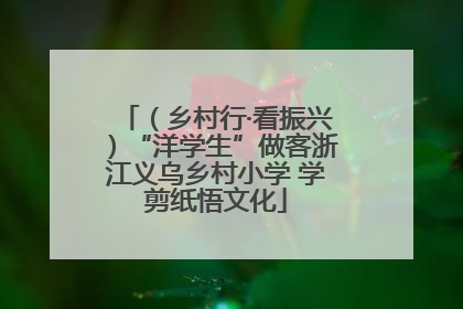（乡村行·看振兴）“洋学生”做客浙江义乌乡村小学 学剪纸悟文化