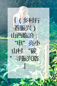 （乡村行·看振兴）山西临汾：“电”亮小山村 “碳”寻振兴路