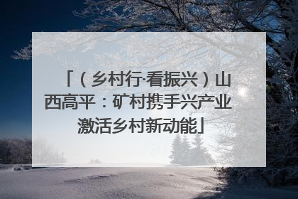 （乡村行·看振兴）山西高平：矿村携手兴产业 激活乡村新动能