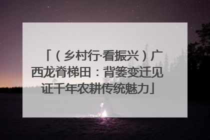 （乡村行·看振兴）广西龙脊梯田：背篓变迁见证千年农耕传统魅力