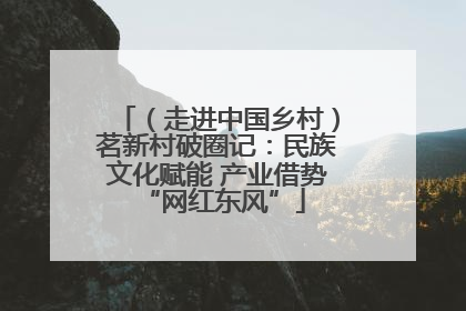 （走进中国乡村）茗新村破圈记：民族文化赋能 产业借势 “网红东风”