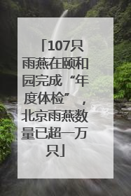 107只雨燕在颐和园完成“年度体检”，北京雨燕数量已超一万只