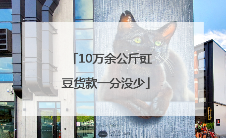 10万余公斤豇豆货款一分没少