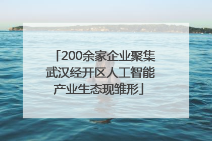 200余家企业聚集 武汉经开区人工智能产业生态现雏形