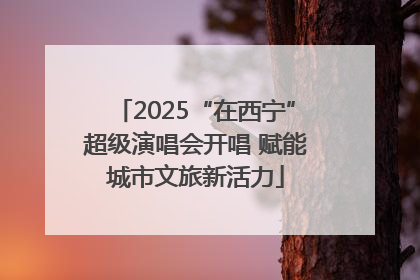 2025“在西宁”超级演唱会开唱 赋能城市文旅新活力