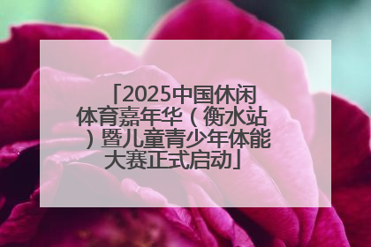 2025中国休闲体育嘉年华（衡水站）暨儿童青少年体能大赛正式启动