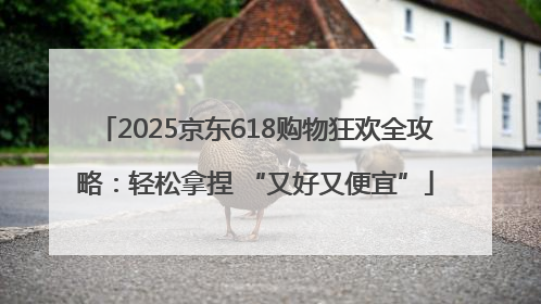 2025京东618购物狂欢全攻略：轻松拿捏 “又好又便宜”