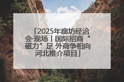 2025年廊坊经洽会·现场丨国际招商“磁力”足 外商争相向河北推介项目