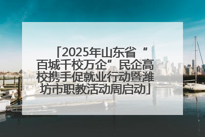 2025年山东省“百城千校万企”民企高校携手促就业行动暨潍坊市职教活动周启动