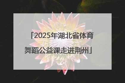 2025年湖北省体育舞蹈公益课走进荆州