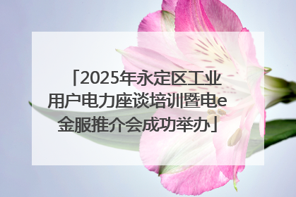 2025年永定区工业用户电力座谈培训暨电e金服推介会成功举办