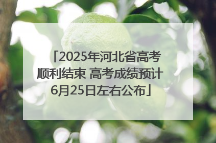 2025年河北省高考顺利结束 高考成绩预计6月25日左右公布