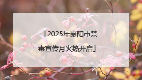 2025年襄阳市禁毒宣传月火热开启