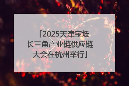 2025天津宝坻长三角产业链供应链大会在杭州举行